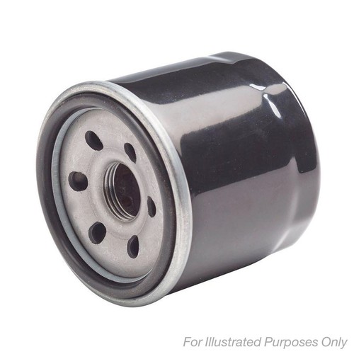 Oil filter for proton - oil,