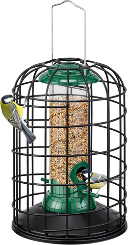 Iborn squirrel proof bird - proof,