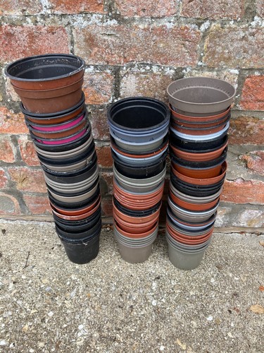 Plastic plant pots - plant, pots,