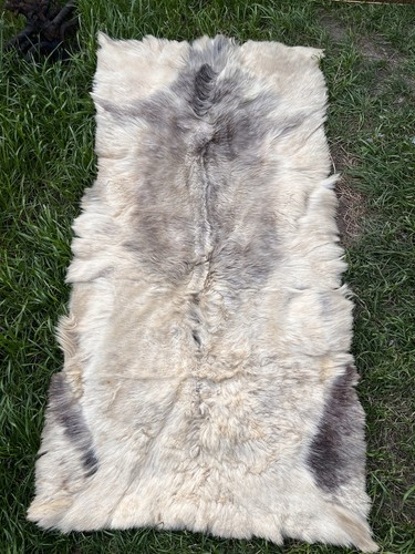 Large genuine patchwork goat - genuine,