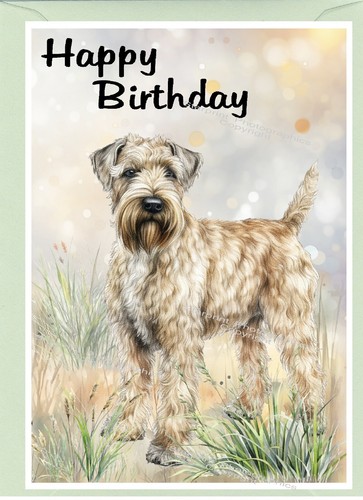 Soft coated wheaten terrier - soft,