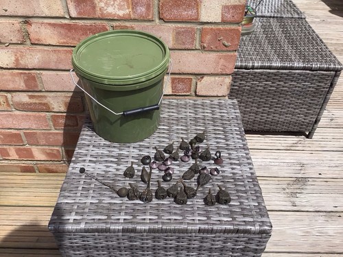 Bait bucket with mostly - bucket, fox