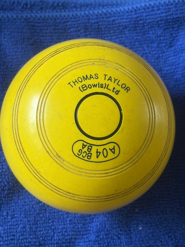 Thomas taylor yellow - thomas,