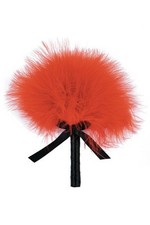 Teasing Feather Tickler Tickle