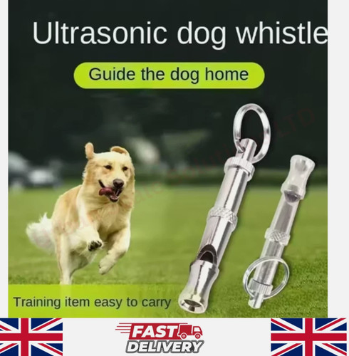 Dog whistle trainer - dog,