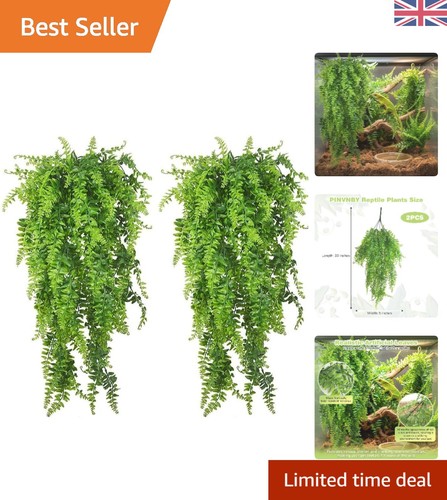 Transform your reptile tank - reptile,