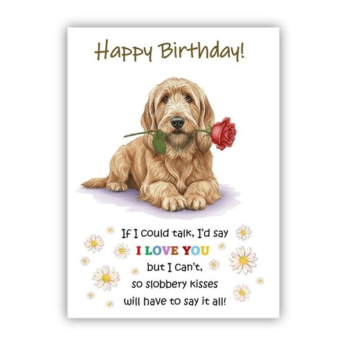 Briard birthday card - briard,