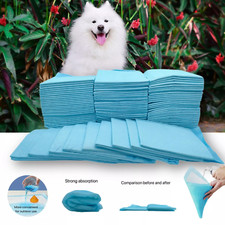 200pcs puppy training - puppy, trainer