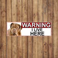 DOGUE DE BORDEAUX WARNING I