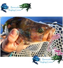 Crazy Fish Soft Lures Nano