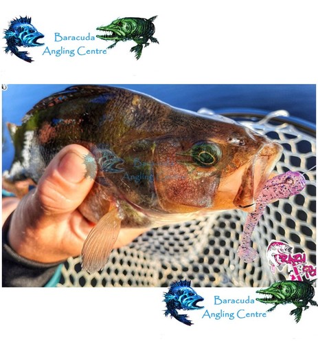 Crazy fish soft lures nano - crazy,