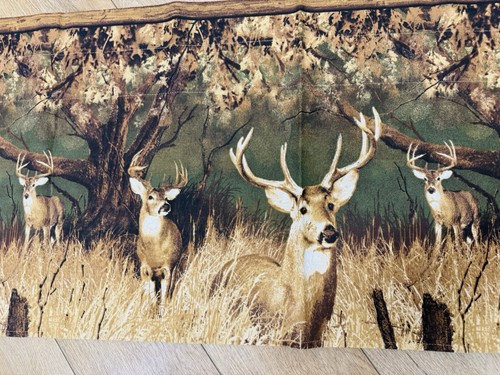 New buck deer - deer, field