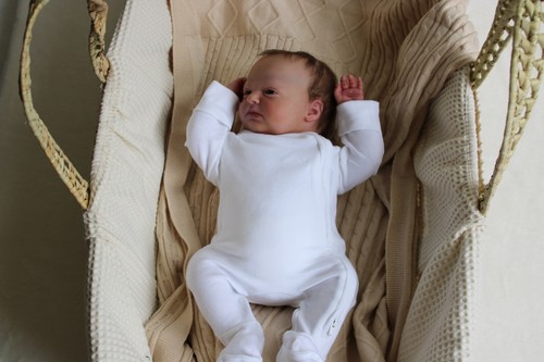 Reborn doll realborn phineas - doll,