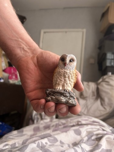 Leonardo collection owl - collection,