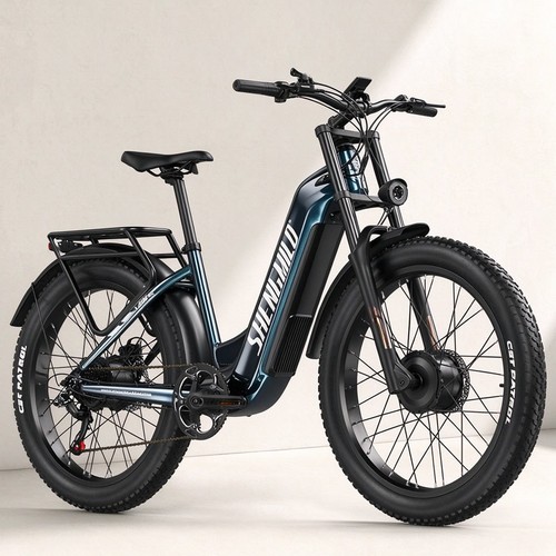 Dual motor electric bike - dual,
