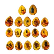 1pc animals amber for stone - ,