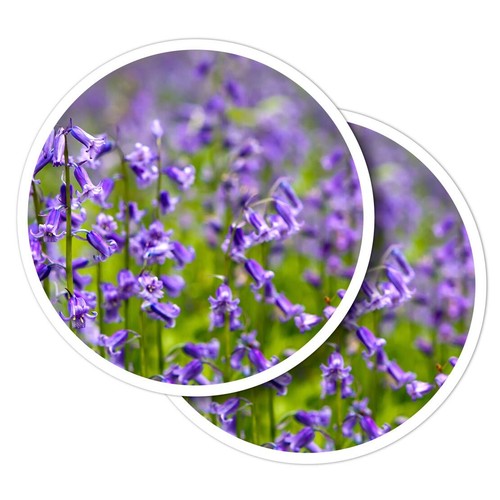 Vinyl stickers bluebell - 2x,
