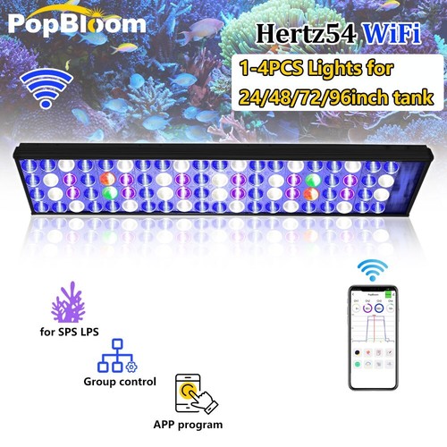 Popbloom 60cm 240cm - 60cm-240cm, marine