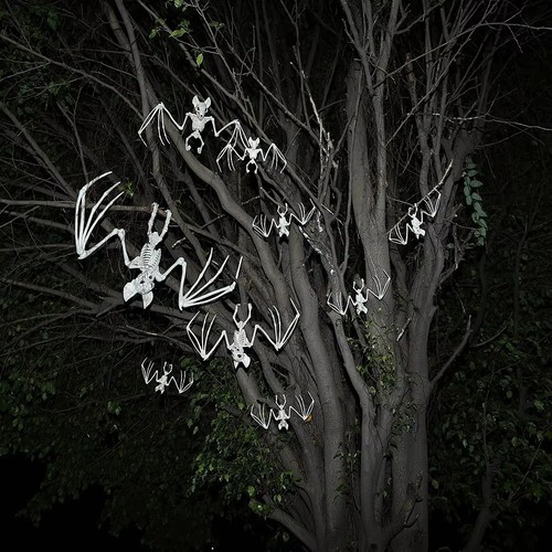 Halloween bat skeleton - bat,