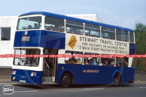 Bus photo a1 service - bus,
