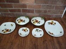 Midwinter Stylecraft Daisy Time Rare Tureen and Plates Set MCM RARE