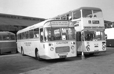 hants x dorset trainer dke264c