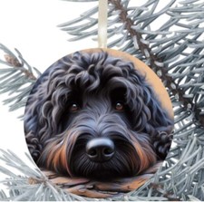 Cockapoo Goldendoodle