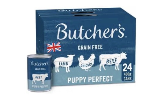Butcher puppy perfect dog - perfect,