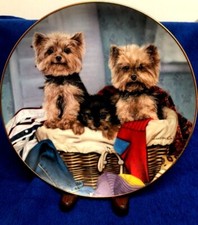 HAMPER CAMPERS by Michele