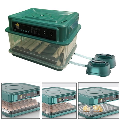 Automatic intelligent egg - automatic,