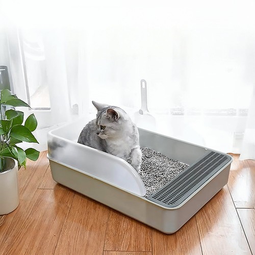 Large open cat - large, litter