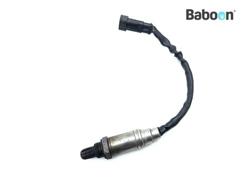Oxygen sensor harley - oxygen,