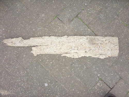 Large driftwood - large,