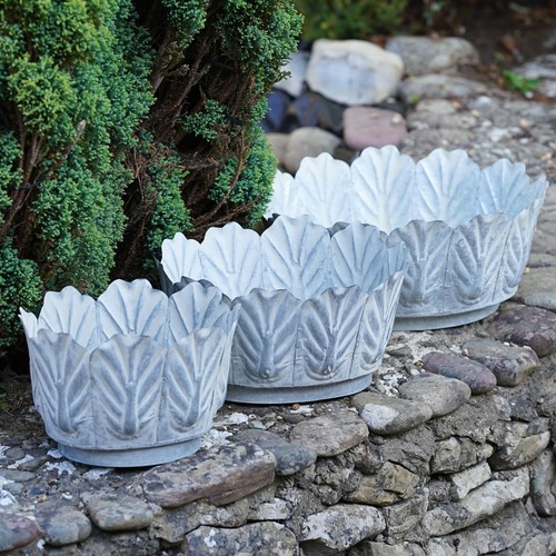 Galvanised metal planter leaf - galvanised,