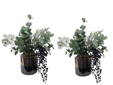 QVC Peony Set of 2 Large