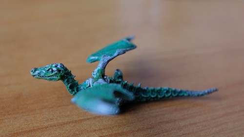 Young forest dragon - young,