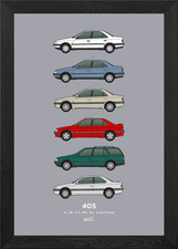 Peugeot 405 Car Collection