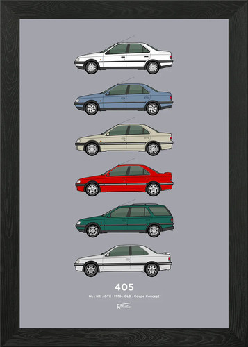 Peugeot 405 car collection - 405,