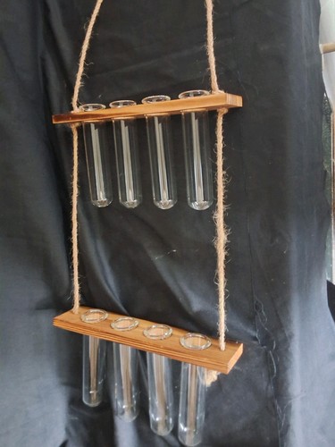 Plant hanging test tube - test,