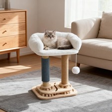 Cat Scratching Post Cats Tree