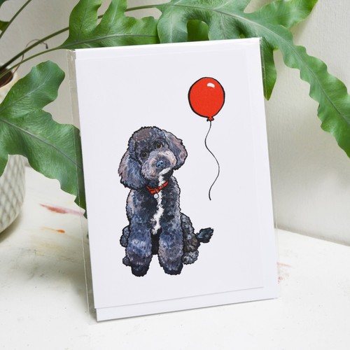 Black toy poodle - black,