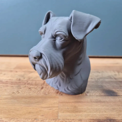 Miniature schnauzer bust - schnauzer,