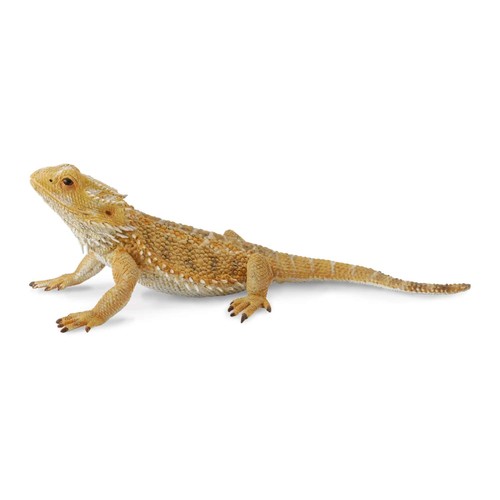 Collecta bearded dragon lizard - collecta,