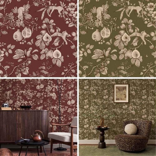 Leopard exotic forest jungle - leopard,