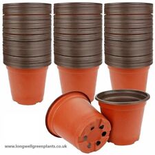 PLANT POTS 9cm x100 pots |