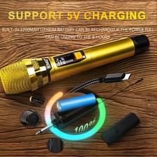 Professional 2 Channel DJ