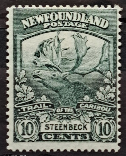 Newfoundland 1919 contingent - newfoundland,