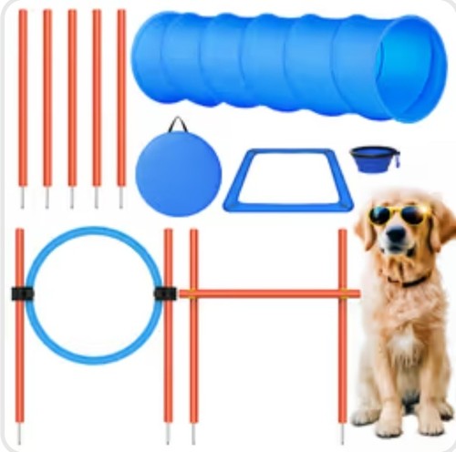 Xben dog agility equipment - x,