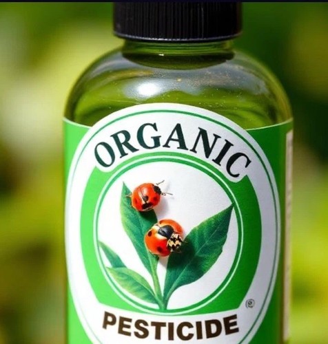 Ladybirds organic - 25,