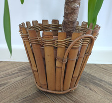Vintage Bamboo Cane Plant Pot